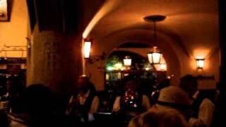 Hofbrauhaus Munich oompah band [upl. by Ahsikit]