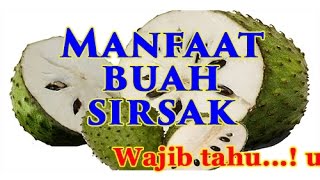 Manfaat buah Sirsak dan Kandungan Gizi [upl. by Annoeik995]