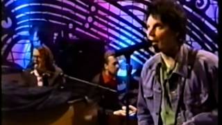 Wilco  Cant Stand It  1999 05 28 [upl. by Sofko]