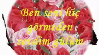 BEN SENI HIC GORMEDEN SEVDIMMUKEMMEL SIIR [upl. by Henghold]