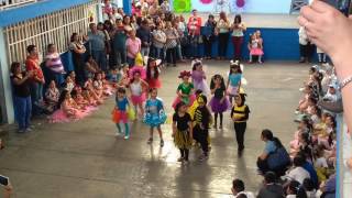 Bailable alumnos de primer grado Durante la asamblea de marzo 2017 [upl. by Giustina]