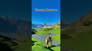 Thorsay Meadows❤️ beautiful pakistan shorts views [upl. by Camila]