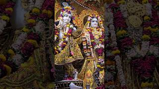 Sri Krishna Bhakti Songs l Suno Krishna Pyaare Swati Mishra Song l Krishna Bhajans In Temples l [upl. by Ahsilac816]