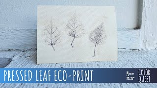 HOW TO ECOPRINT WITH PRESSED LEAVES  ORGANIC COLOR  IRON TANNIN  BLACK amp WHITE  IDAHO FORAGING [upl. by Arihs11]