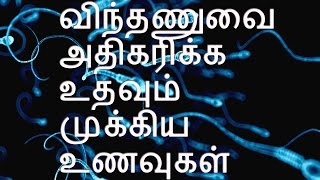 விந்தணுவை அதிகரிக்க உதவும் முக்கிய உணவுகள் [upl. by Spiro]