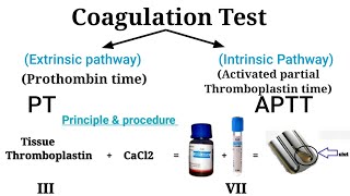 Prothombin time test  Coagulation Test Clotting factor [upl. by Shwalb]