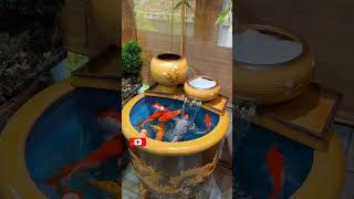 Beautiful Koicarp Pond Setup aquarium setupfish tank setupmost beautiful pondskoi shorts [upl. by Fraser]