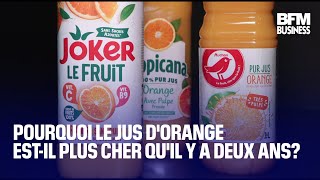 Ouragan en Floride sécheresse au Brésil… Pourquoi le jus dorange estil plus cher [upl. by Rhys]