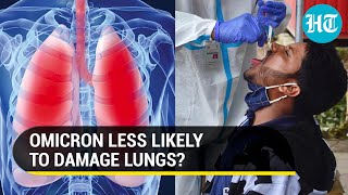 Omicron doesnt damage the lungs as much as the Delta variant reveal studies [upl. by Ronoc841]