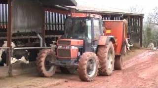 Feeding the Cows  with Skidsteer [upl. by Garin]