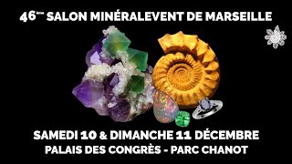 Salon des minéraux Marseille Noel 2022 [upl. by Ayanal241]