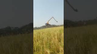 excavator long boom matril sitting shortvideo youtubeshorts [upl. by Ruiz402]