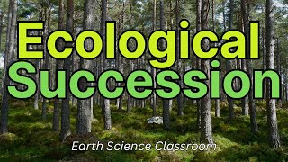 What Is Ecological Succession [upl. by Temple]