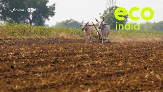 Eco India How regenerative farming can be the solution for improved soil health and fertility [upl. by Assela522]