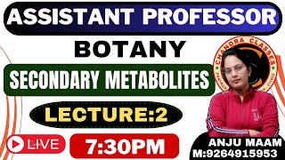 PLANT SECONDARY METABOLITES  LECTURE 2 BY ANJU MAM [upl. by Ztnarf]