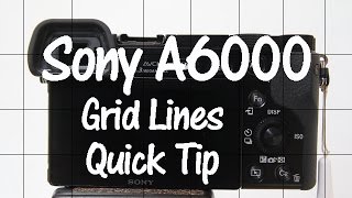 Sony A6000 and A6300 Quick Tip  Grid Lines [upl. by Ocsicnarf]