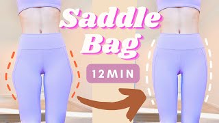 Burn Saddle Bag amp Outer Thigh Get Rid of Cellulite 🔥 No Jumping Workout  Emi [upl. by Nailuj]