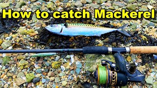 How To Catch MACKEREL Like a Pro on the shore 2024  Catch N Cook DIY fish smoker [upl. by Spring]