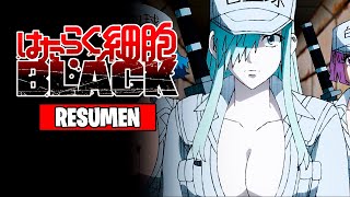 🌟Cells At Work Code Black Resumen  Hataraku Saibou B L A C K [upl. by Otilrac]