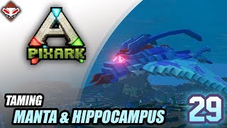 TAMING MANTA amp HIPPOCAMPUS  PixARK INDONESIA 29 [upl. by Dowlen818]