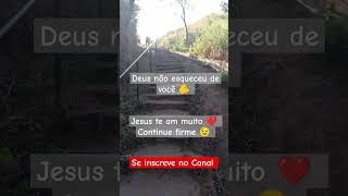 Jesus te ama muito ❤️louvor louvores adoração deus viralvideo shorts [upl. by Ydiarf]