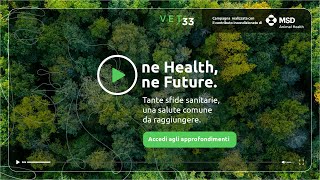 One Health One Future  Capitolo 1 Il cambiamento climatico [upl. by Ruby]