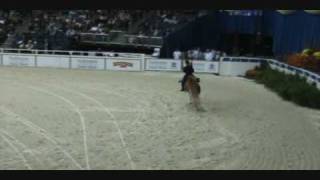 Washington International Horse Show Saddlebred Exhibition  Closing [upl. by Tare373]