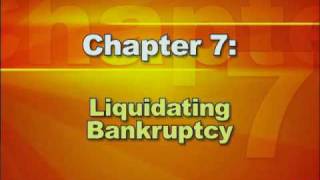 Bankruptcy Basics  Part 2 Types of Bankruptcy [upl. by Neiht]