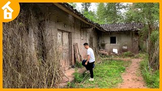 Leaving City  Renovating an Abandoned Stone House in the forest TRANSFORMED Time Lapse [upl. by Mikaela]