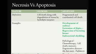 Pathology 039 d Necrosis apoptosis difference compare vs different cell death [upl. by Gniw638]