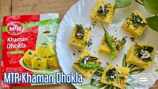 MTR Khaman Dhokla Recipe  MTR Dhokla Recipe  Instant MTR Khaman Dhokla in Pressure Cooker [upl. by Iralam]