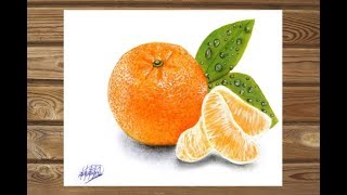 Dibujo realista de una mandarina  HD Realistic drawing of mandarin [upl. by Tobias]