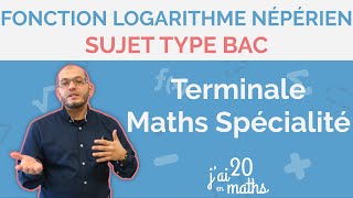 Sujet type bac  Fonction logarithme népérien  Terminale Maths Spécialité [upl. by Eerihs]