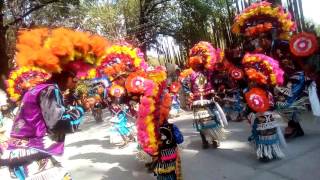 Danza chichimeca guadalupana don Diego venado slp [upl. by Mohandis203]