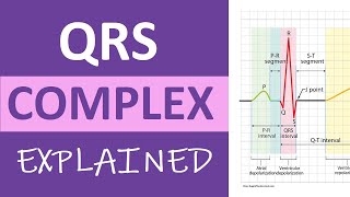 QRS Complex ECG Interpretation amp Measurement Explained  ECG Nursing ACLS NCLEX [upl. by Iago]