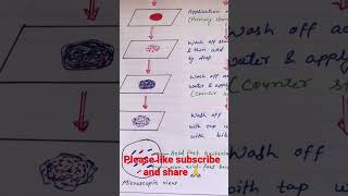 ZiehlNeelsen staining  Acid Fast staining procedure process viral youtubeshorts science short [upl. by Iblehs]