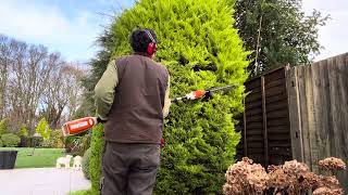 Conifer Tidying amp Sorting out a Phormium in a Border [upl. by Sayette804]