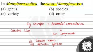 In Mangifera indica the word Mangifera is a a genus b species [upl. by Katushka]