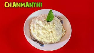 Kerala style chammanthi today special  Recipe in tamil  Ramnad Kitchen [upl. by Rudolf794]