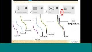 BaseSpace Sequence Hub Prep Tab  the Illumina CloudBased Solution for Managing Samples [upl. by Lesig237]