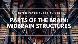 Parts of the Brain Midbrain Structures Intro Psych Tutorial 33 [upl. by Sylvia]