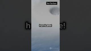 Hurricane shorts hurricane milton [upl. by Latoye97]