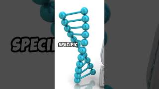 What is CRISPR Gene Editing Simplified crispr geneediting biotechnology [upl. by Eekaz]