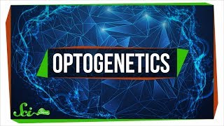 Optogenetics Using Light to Control Your Brain [upl. by Etteyafal]