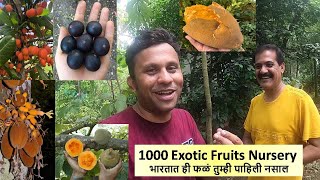 1000 Exotic Fruits Nursery भारतात ही फळं तुम्ही पाहिली नसाल Veliyath Nursery 9544280007 9895950525 [upl. by Ewnihc]