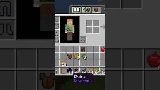 gate inphone lol Minecraft funny video [upl. by Llenral860]