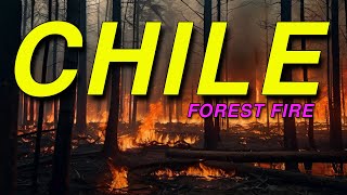 CHILE 99 DEATHS IN FOREST FIRES [upl. by Nalyak88]