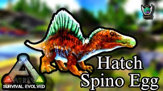 How To Hatch Spino Egg in Ark Survival Evolved Mobile [upl. by Nurat]