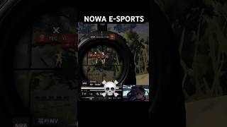 NNOWA E SPORTS PMGC 2024  shorts pubgmobile bgmi viralshorts [upl. by Levon673]