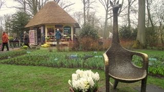 Najpiękniejsze Ogrody Świata  Keukenhof Holandia [upl. by Retsel637]